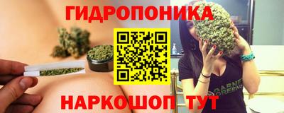 прущие крисы Будённовск