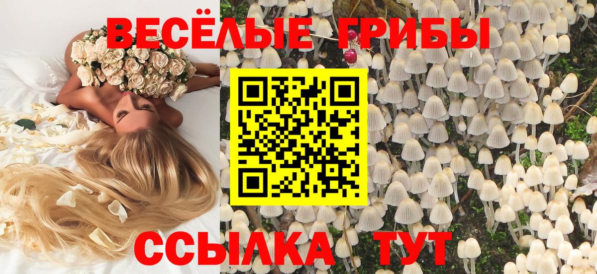 Галлюциногенные грибы MAGIC MUSHROOMS Гусев