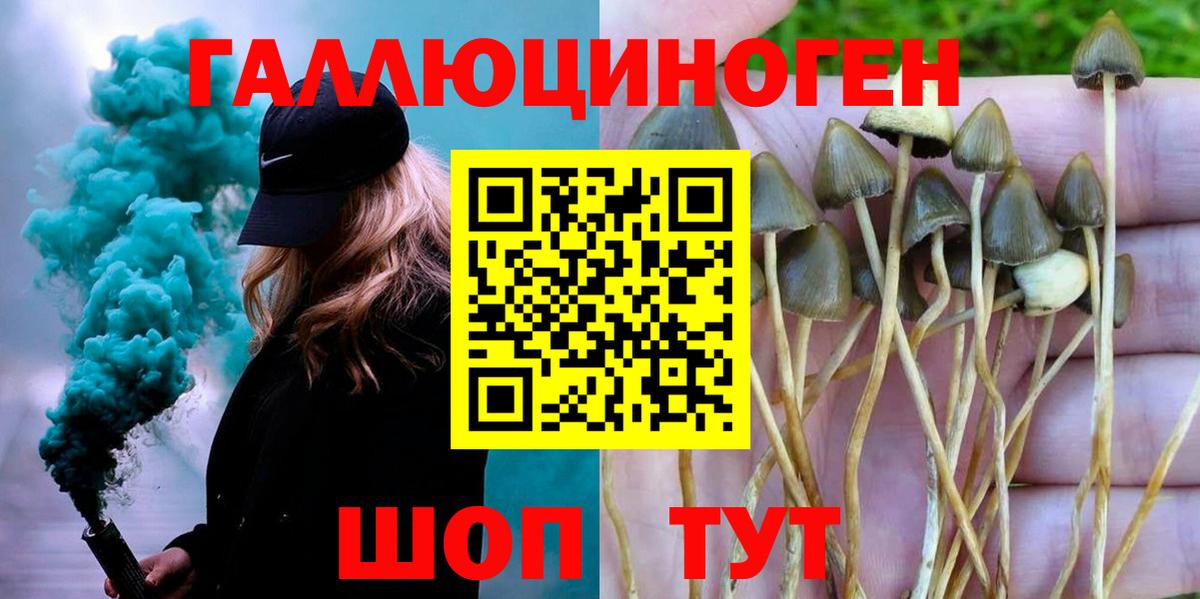 Галлюциногенные грибы Cubensis  Вход с VPN  Псилоцибиновые грибы Cubensis  Гусев 